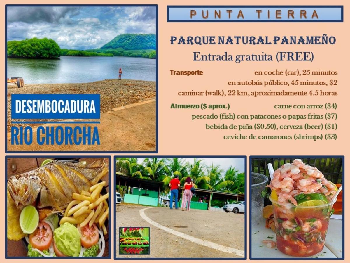 Pacasa Hostel Давид Екстериор снимка