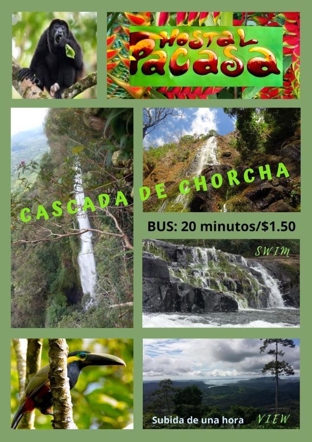 Pacasa Hostel Давид Екстериор снимка